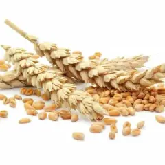 Czy mąka orkiszowa ma gluten? Sprawdź, czy jest bezpieczna dla diety bezglutenowej