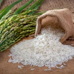 Kłosy ryżu i rozsypane ziarna z worka. Odpowiedź na pytanie: czy ryż ma gluten? Nie, ryż jest naturalnie bezglutenowy.