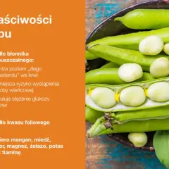Bób – bogactwo błonnika, kwasu foliowego i minerałów. Jego wartości odżywcze wspierają serce i regulują poziom cukru we krwi.