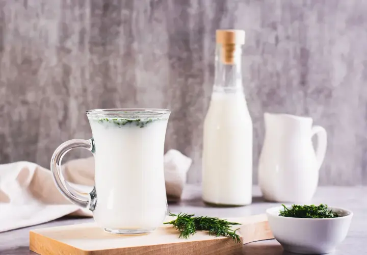 Szklanka z napojem, butelka i dzbanek mleka, gałązka koperku. Poznaj kefir właściwości dla zdrowia.
