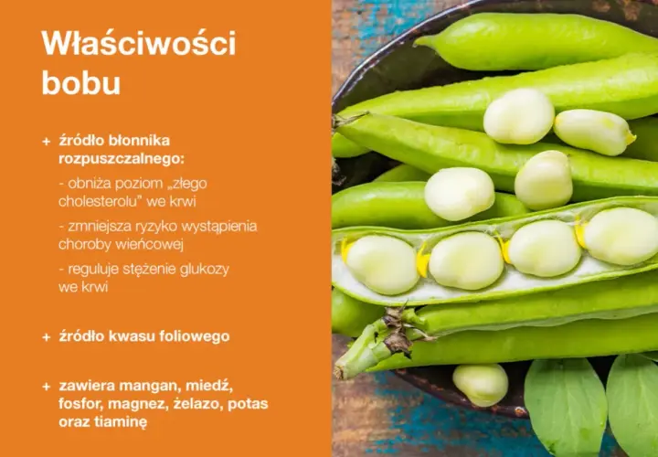 Bób – bogactwo błonnika, kwasu foliowego i minerałów. Jego wartości odżywcze wspierają serce i regulują poziom cukru we krwi.