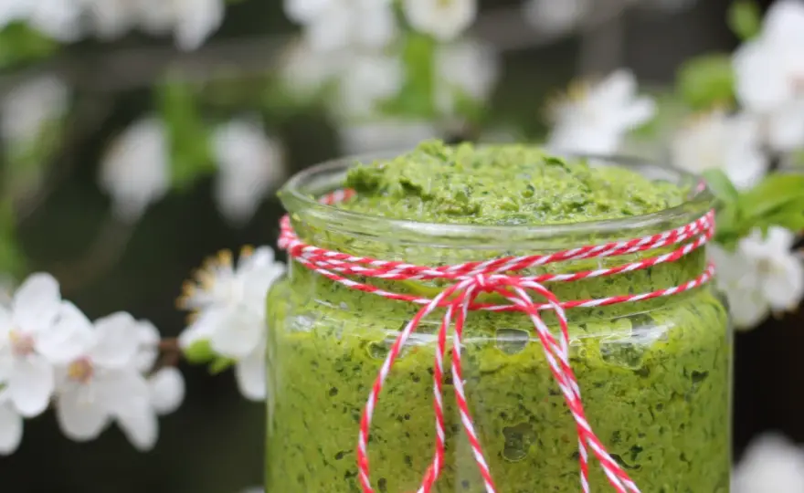 Pesto z czosnku niedźwiedziego - Zrób idealny sos!