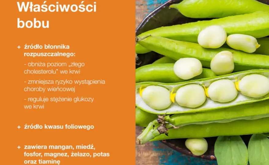 Bób - kalorie, wartości odżywcze i jak jeść zdrowo?